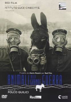 Animali nella Grande Guerra